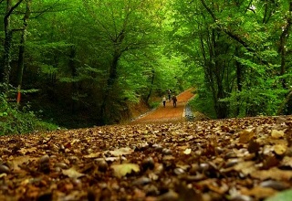 BELGRAD ORMANI SPORTİF DOĞA YÜRÜYÜŞÜ